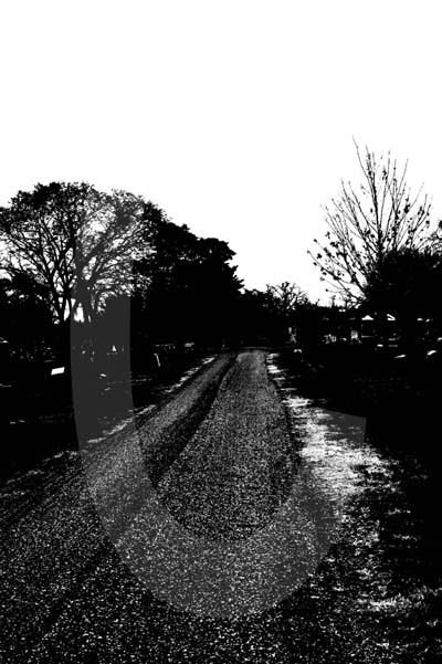 texas ghosts,ghost photographs,cemetery images,paranormal photos,angels,marker,downtown forth wort, horses, animals,ghosts, usa