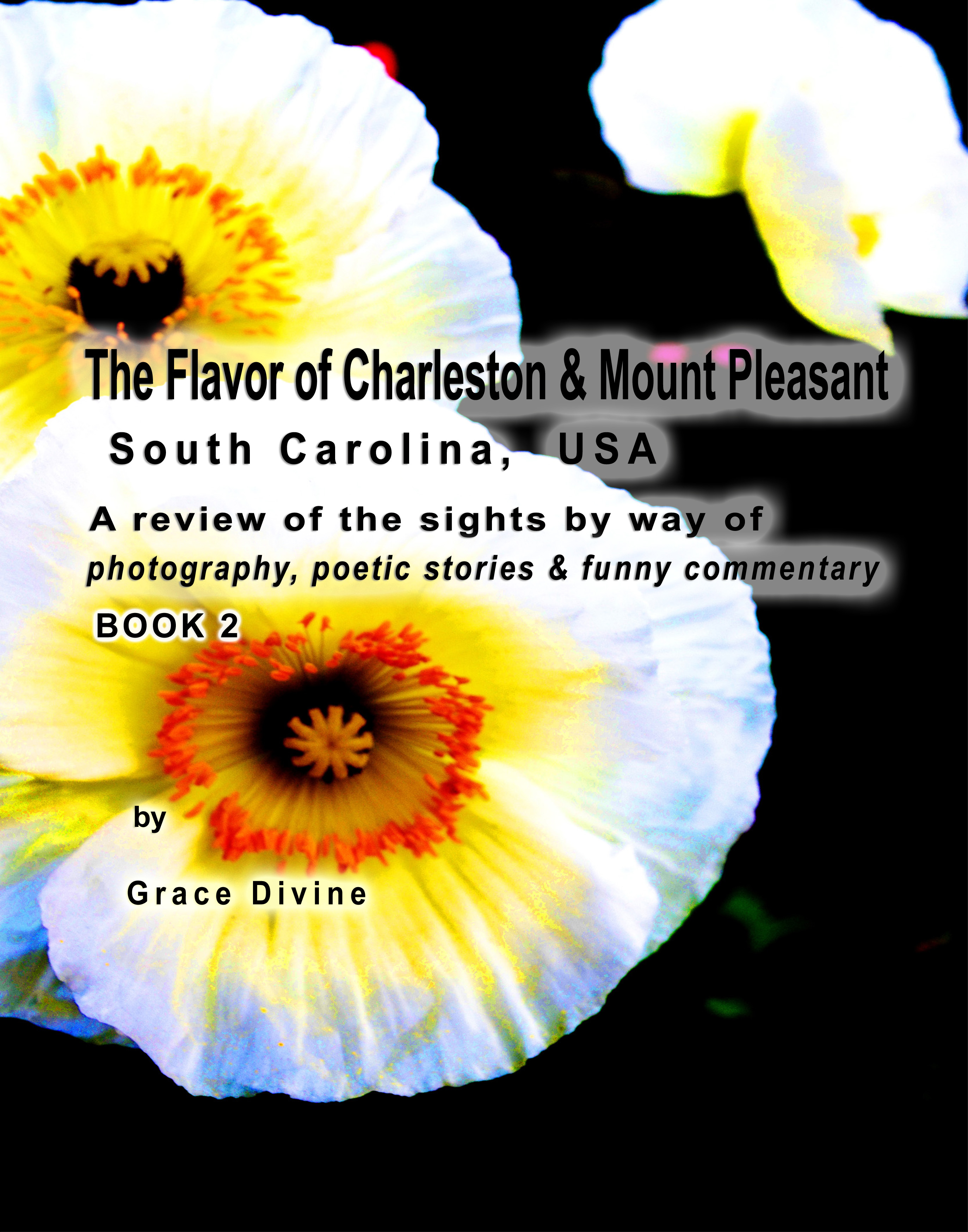 art photography,creative photography,award winning photography, charleston, mount pleasant, south carolina, usa,digital photography,photo gallery,photography landscapes,landscape,