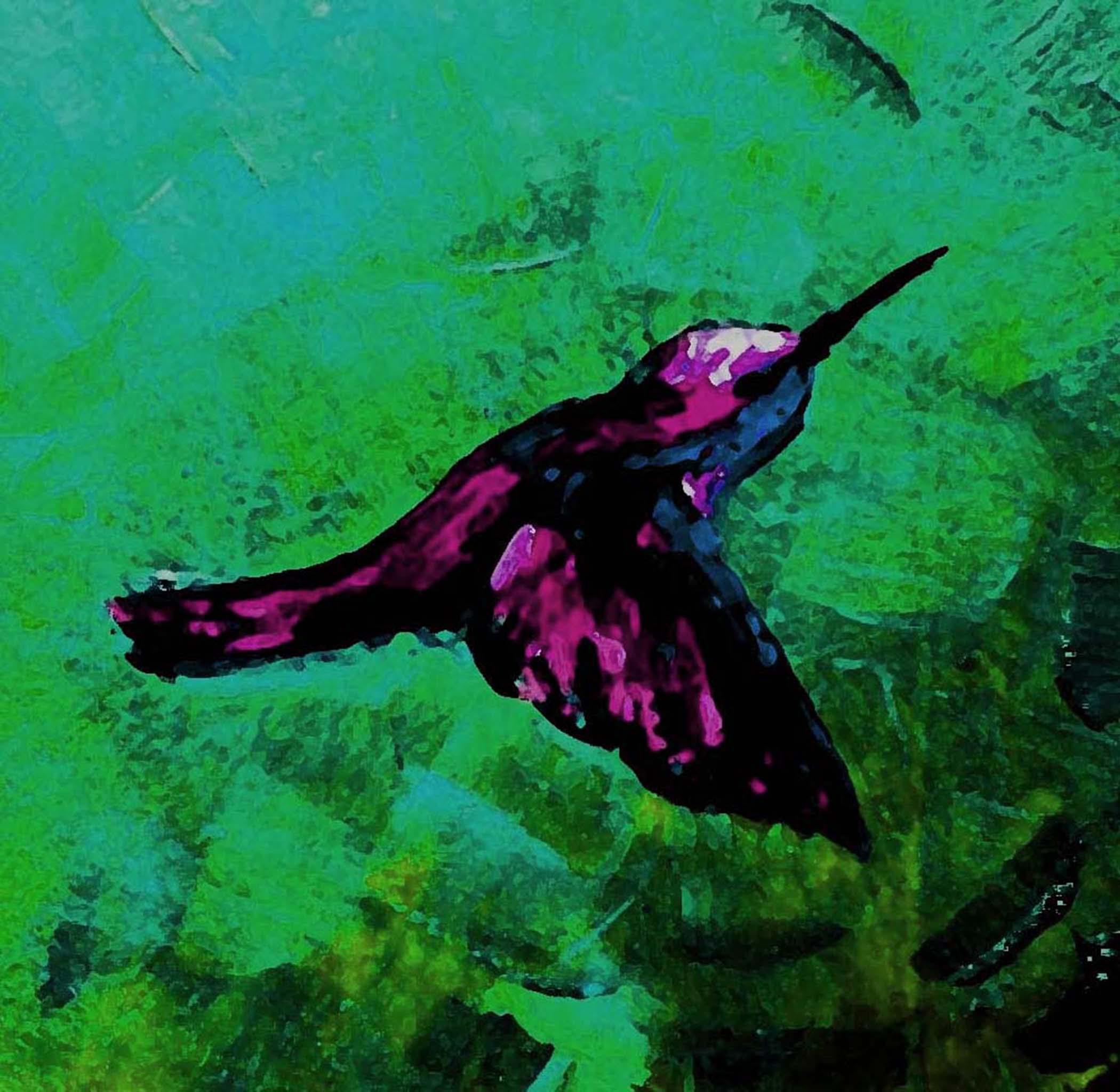 Graceful Hummingbird Paintings Divine Animal Art 