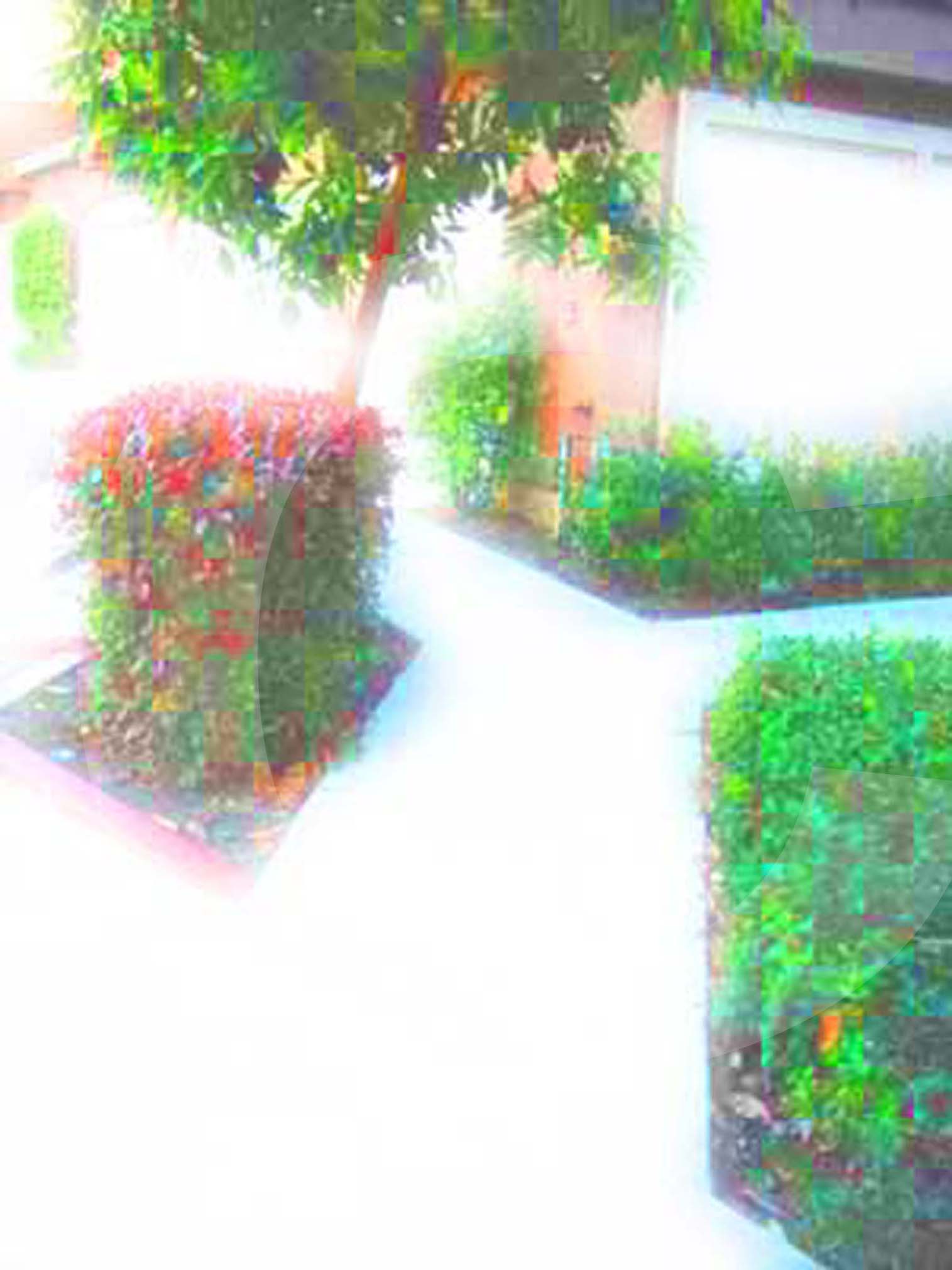 photography therapy,ptsd,anxiety,memory,photoshop,grace divine,prolongued exposure,image memories,california,aliso viejo land