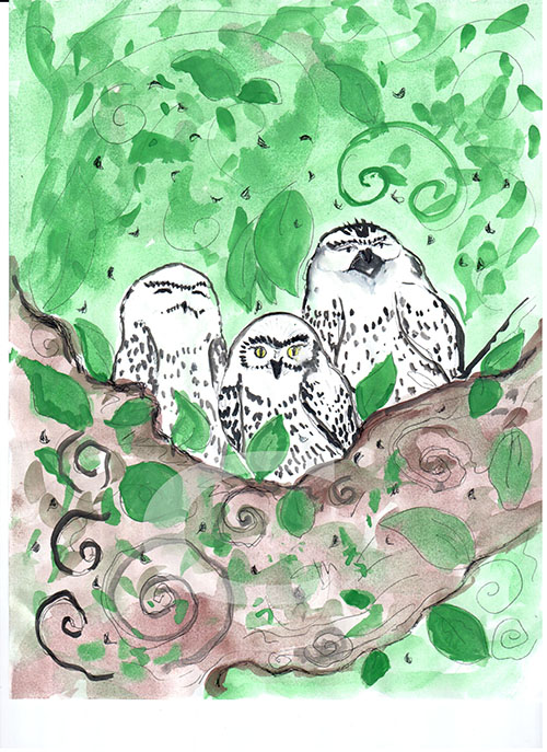 -animals-living-on-in-trees-foliage-branches-by-grace-divine