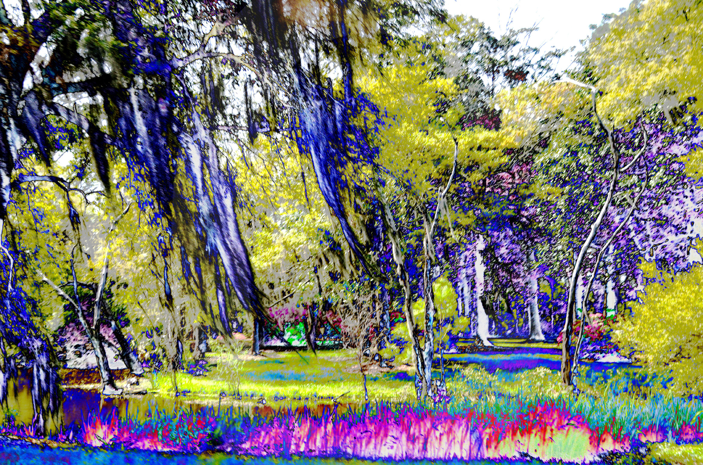 art photography,creative photography,award winning photography, charleston, mount pleasant, south carolina, usa,digital photography,photo gallery,photography landscapes,landscape,