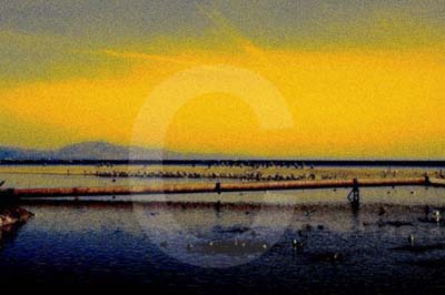 santa barbara photography,beach photos,digital art santa barbara,wall decor california,santa barbara ghosts,colorful images sB