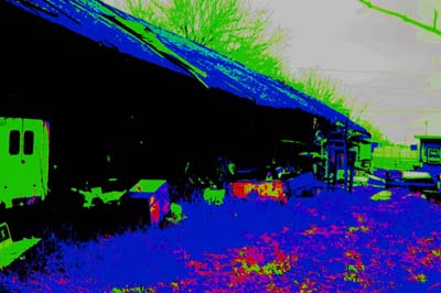texas ghosts,ghost photographs,cemetery images,paranormal photos,angels,marker,downtown forth wort, horses, animals,ghosts, usa