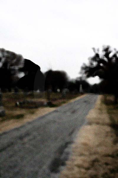 texas ghosts,ghost photographs,cemetery images,paranormal photos,angels,marker,downtown forth wort, horses, animals,ghosts, usa