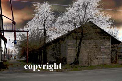 texas ghosts,ghost photographs,cemetery images,paranormal photos,angels,marker,downtown forth wort, horses, animals,ghosts, usa