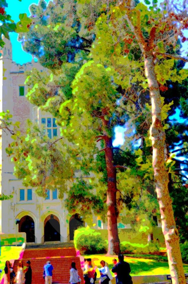 ucla,university of california los angeles,photographs,photos,images,graduation,campus,