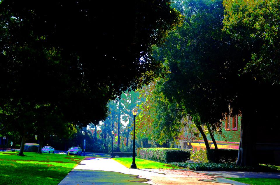 ucla,university of california los angeles,photographs,photos,images,graduation,campus,