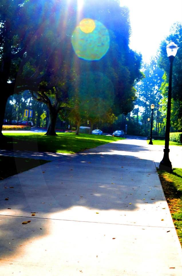 ucla,university of california los angeles,photographs,photos,images,graduation,campus,