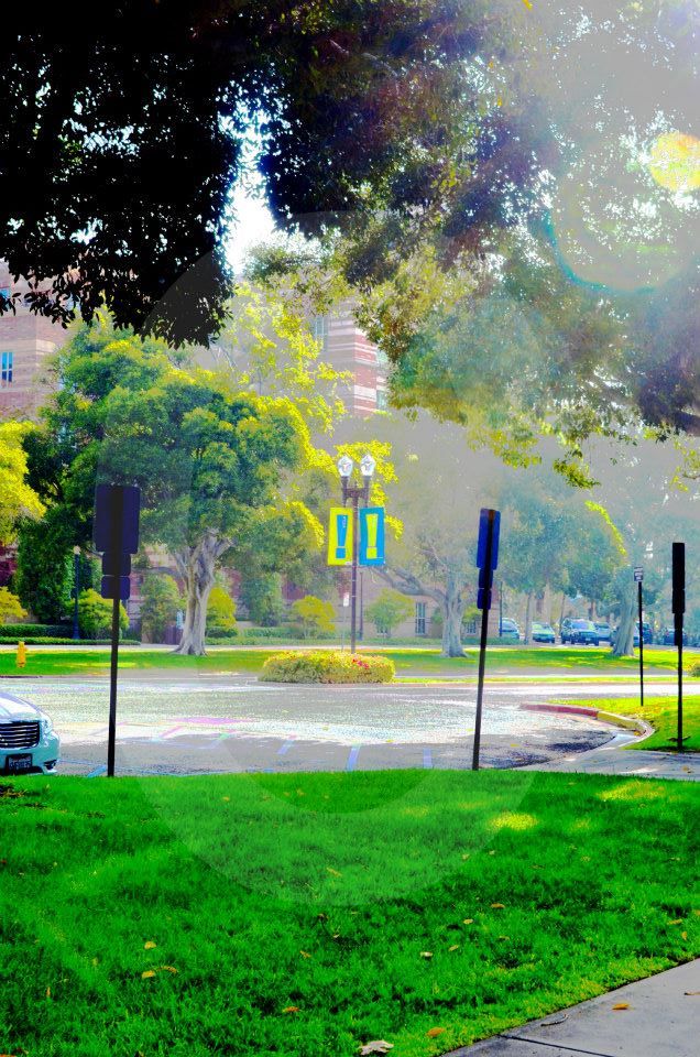 ucla,university of california los angeles,photographs,photos,images,graduation,campus,