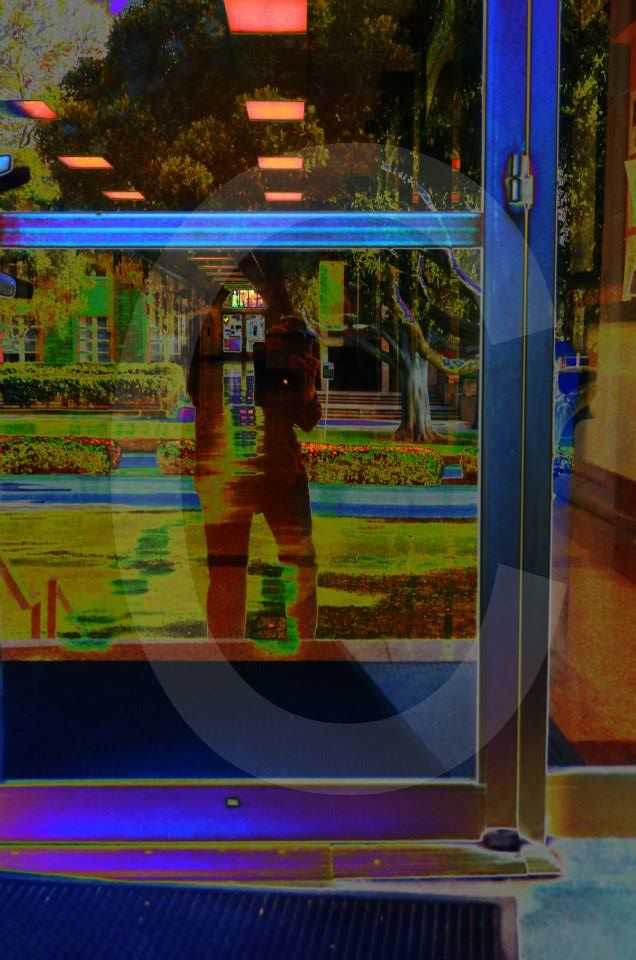 ucla,university of california los angeles,photographs,photos,images,graduation,campus,