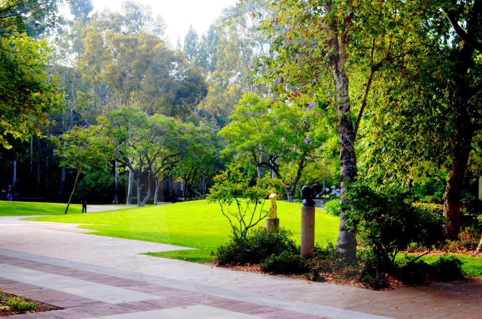 ucla,university of california los angeles,photographs,photos,images,graduation,campus,