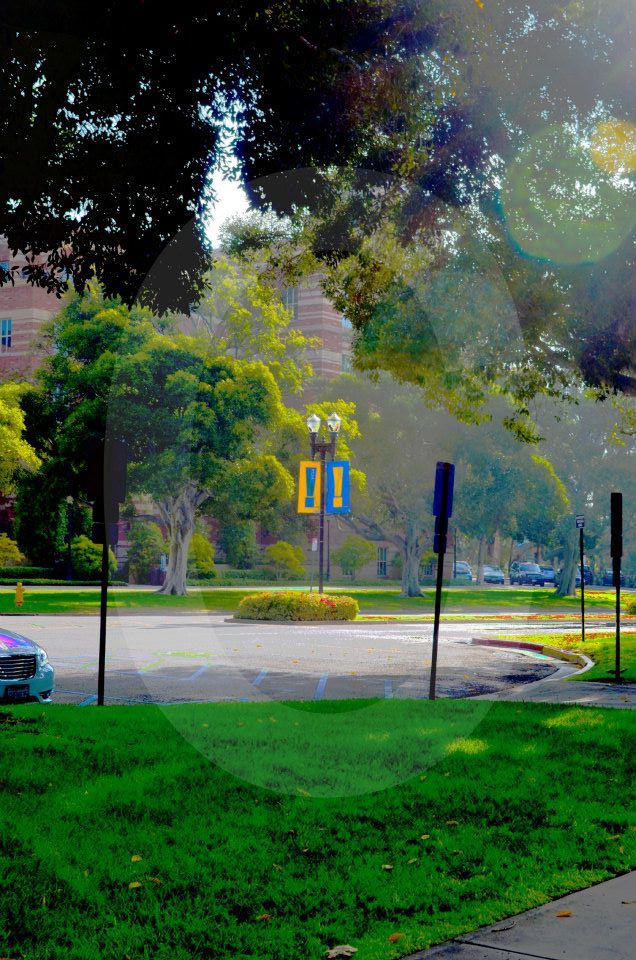 ucla,university of california los angeles,photographs,photos,images,graduation,campus,