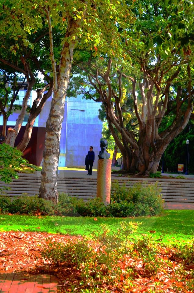 ucla,university of california los angeles,photographs,photos,images,graduation,campus,