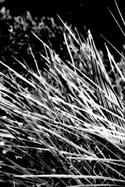 art photography,creative photography,award winning photography,photo gallery,photography landscapes,landscape photography,art 
